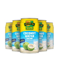 Coconut Water Drink with Coconut Pieces - Can