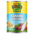 12 Tin Tropical Sun Banana Blossom in Salted Water 400g