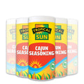 12 TubsTropical Sun Cajun Seasoning 80g