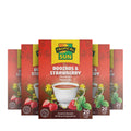 6 Pack Tropical Sun Rooibos & Strawberry Tea 120 Teabags