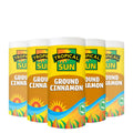 12 Tubs Tropical Sun Ground Cinnamon 80g