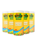 6x Tropical Sun Ground Ginger 80g