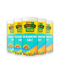 12 Tubs Tropical Sun Seasoning Salt 100g