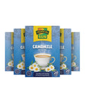 Camomile Tea