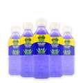 Aloe Vera Blueberry Drink